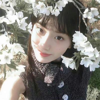 倾城歌手