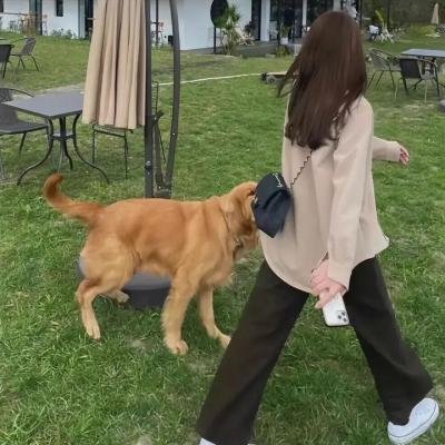 嫁我吧,哥们